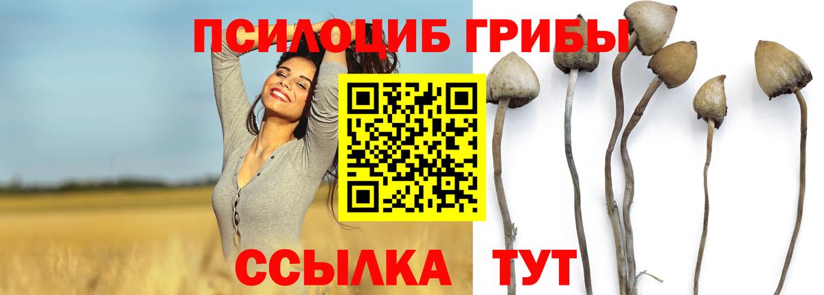 Галлюциногенные грибы Magic Shrooms  Вход с VPN  Астрахань 